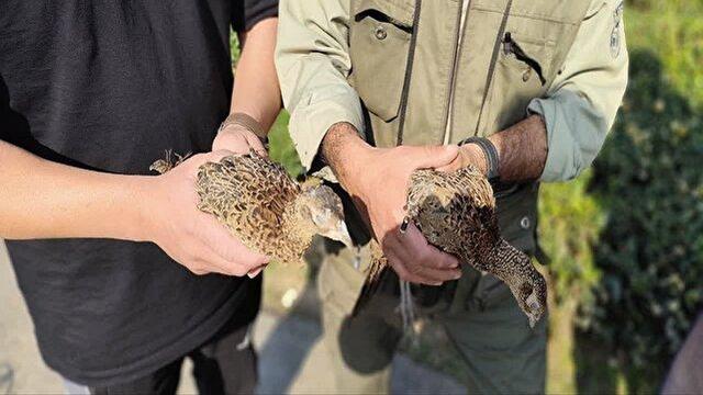 همکاری مردم و محیط بانان در صیانت از تنوع زیستی گیلان 