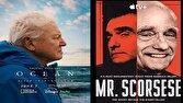 «آقای اسکورسیزی» و «دیوید اتنبرو» در میان برندگان یک جایزه