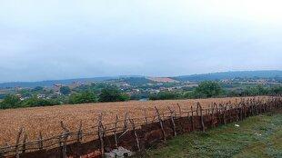 مازندران ؛ تشنه باران