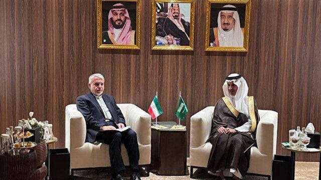 صالحی‌امیری: همکاری‌های فرهنگی ایران و عربستان می‌تواند الگوی وحدت‌اسلامی باشد