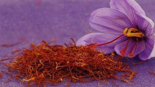 پرداخت ۶.۵ میلیارد تومان تسهیلات کشت زعفران به مددجویان مینودشت