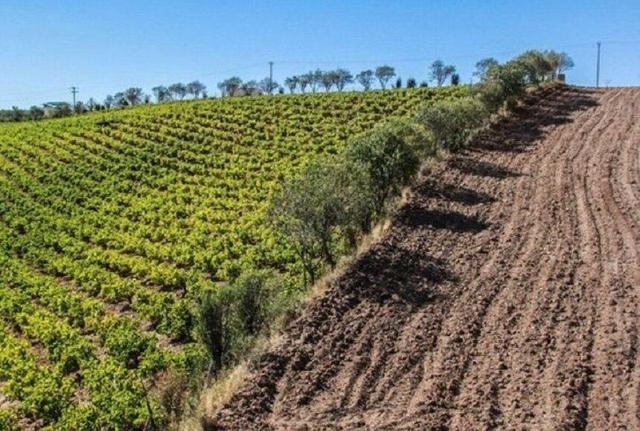 خاک استان خراسان‌شمالی روی خط فرسایش