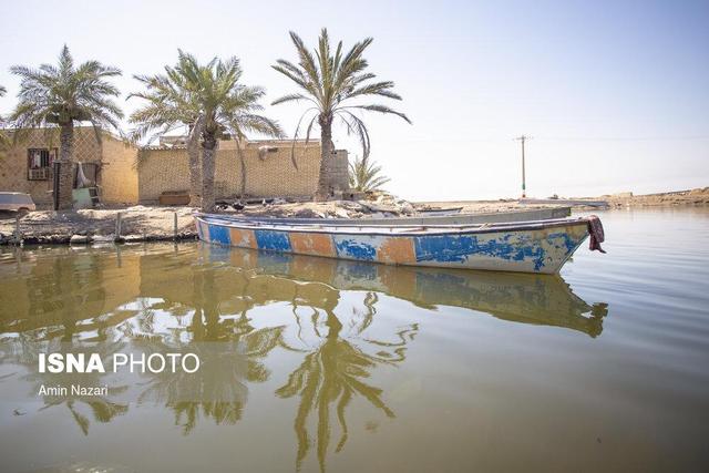 ۵۸ درصد تالاب شادگان خشک شده است/ تخصیص تنها نیمی از حق‌آبه تالاب