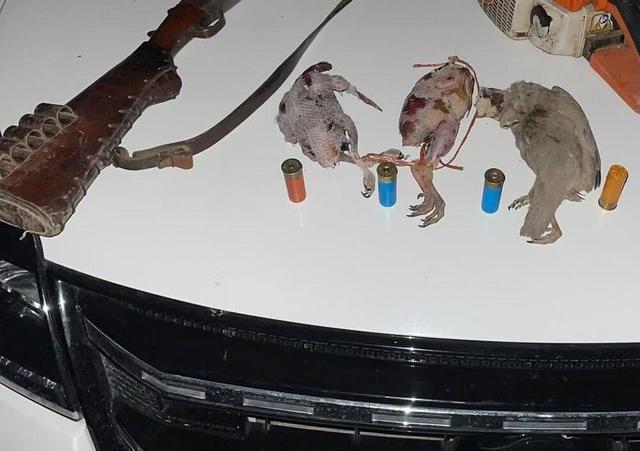 متخلف شکار در ارتفاعات دشت برم کازرون دستگیر شد