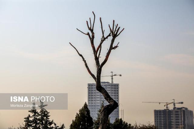 واکنش شهرداری به گزارش «مجوزهای برج‌سازی» و پاسخ ایسنا