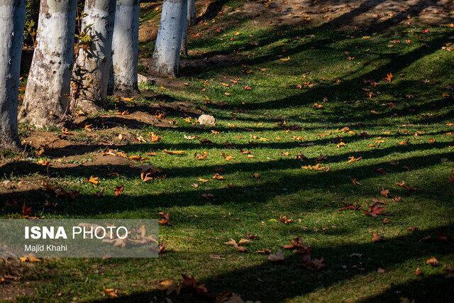 تداوم پایداری هوا در گیلان/ وزش باد در مناطق کوهستانی