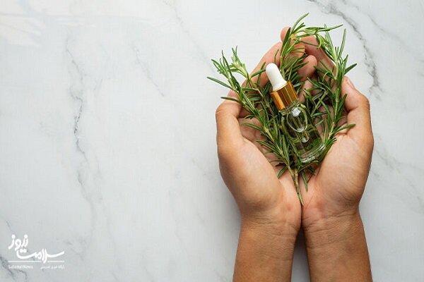 بهبود جای زخم با رزماری