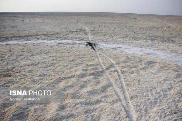 نیمی از تالاب شادگان خشک شده است