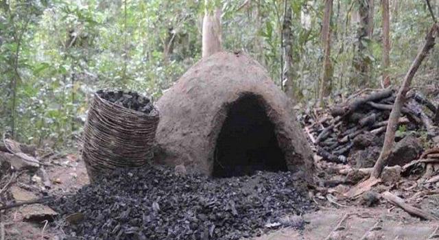 تخریب کارخانه زغال‌گیری در جنگل‌های نکا