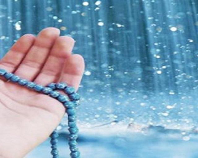 اعلام آمادگی سازمان بهشت زهرا برای برگزاری نماز باران