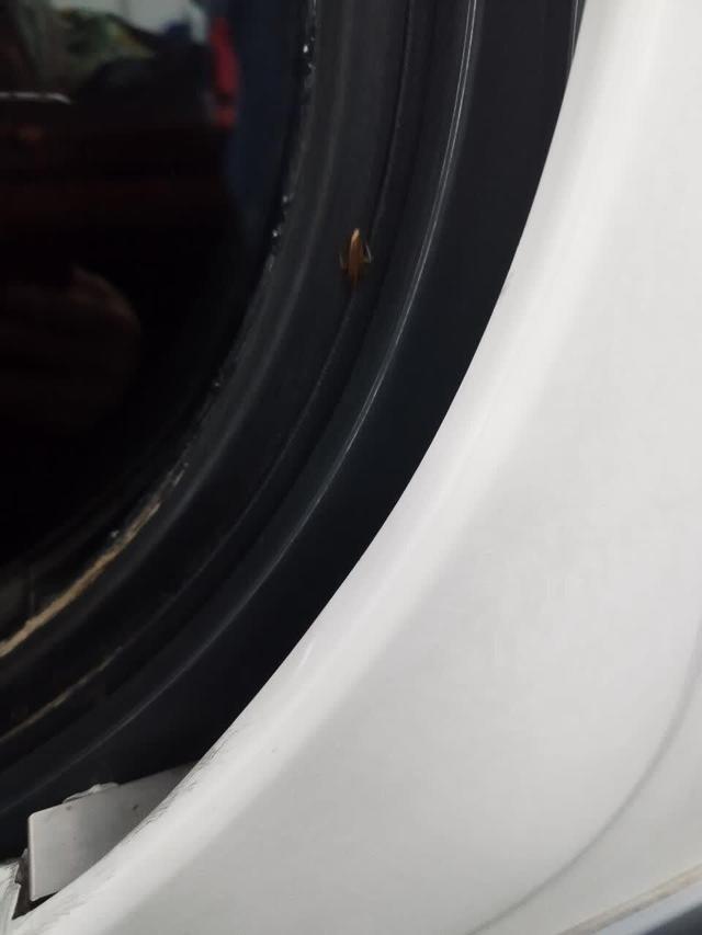 جولان سوسک‌ها در قطار تهران-پرند