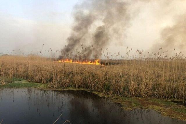 مخالفت شدید وزارت نیرو برای رها سازی آب به سمت هورالعظیم | تالاب در آتش، مردم در دود