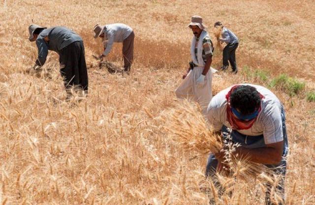 «دستگرد» یک ایران همدلی و همکاری