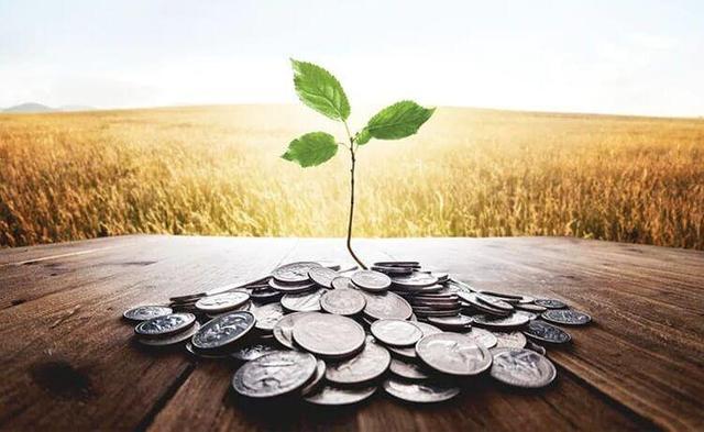 بسته‌های سرمایه‌گذاری برای تولید در مازندران معرفی می‌شود