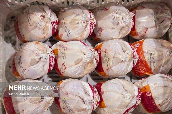 آغاز توزیع مرغ منجمد ۱۲۲ هزار تومانی در هرمزگان