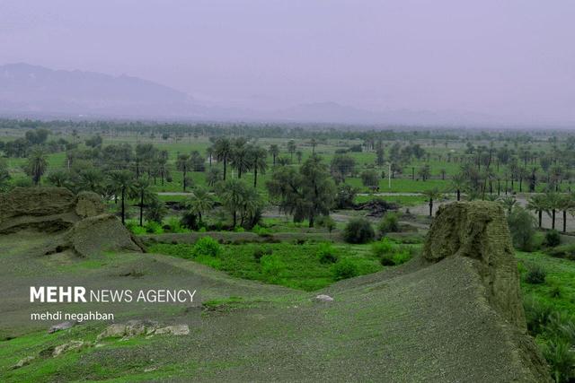اینفوگرافیک؛ جاذبه‌های گردشگری شهرستان رودان بهشت جنوب