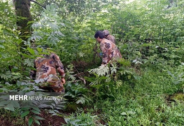 برزگر: حکم قضایی رفع تصرف ۲۵۰۰ مترمربع اراضی ملی در رحیم‌آباد اجرا شد
