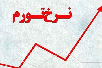 چرا نرخ رشد تورم مهر از سایر ماه‌ها بیشتر بود؟ / توضیح وزیر اقتصاد درباره افزایش تورم