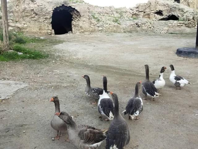 بیم و امیدهای توسعه روستاهای کهگیلویه و بویراحمد