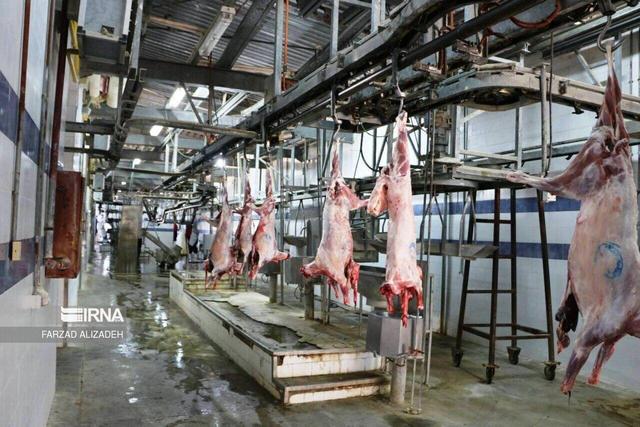 استقبال مردم از گوشت؛ رشد هشت درصدی کشتار دام در خراسان شمالی