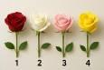روانشناسی شخصیت : انتخابت کدام رنگ گل رز می باشد؟
