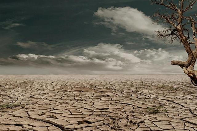 در پی خشکسالی در عربستان پادشاه این کشور خواستار اقامه نماز باران شد