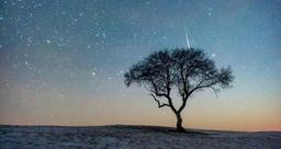 بارش شهابی لئونید در این هفته یکی از بهترین شهاب‌باران‌های سال‌های اخیر است