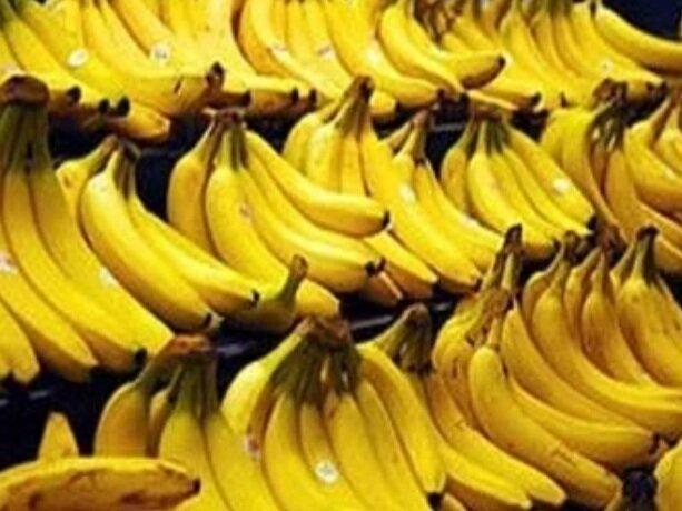 موز ایران از کدام کشورها وارد می‌شود؟