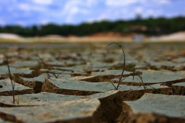 هشدار سنگین وزیر نیرو درباره بحران آبی/ هر چه مخزن بوده، تمام شده است