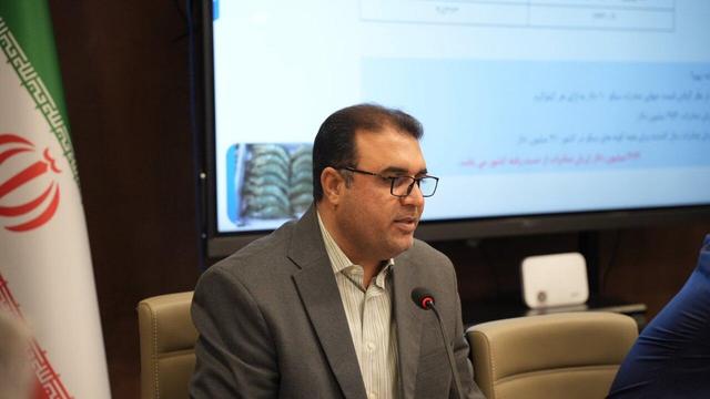 تأکید بر توسعه زیرساخت‌های حمل‌ونقل دریایی در مسیر صادرات میگو