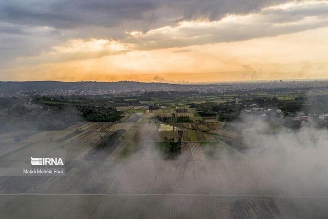 ببینید | شمال هم آلوده شد!
