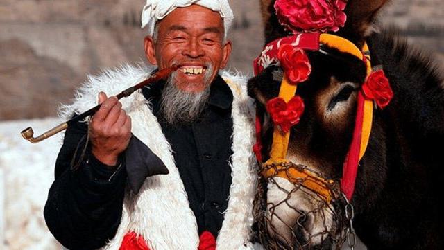 چینی‌ها پوست خر کن شدند! | جزئیات یک تجارت وحشتناک اما پرسود