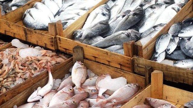 تولید ۷۵ درصد شیلات استان در نهاوند