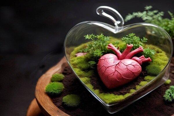 ۱۲۰۰ اهدای عضو و ۱۰۰۰ پیوند موفق در سال ۱۴۰۳ ثبت شد