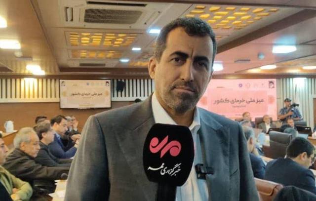 خرما از ظرفیت های مهم ایران در توسعه صادرات است