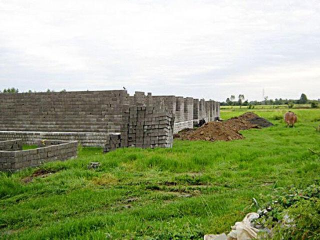 پورمند: ۲۰ هزار مترمربع از مزارع سوادکوه به چرخه کشاورزی برگشت