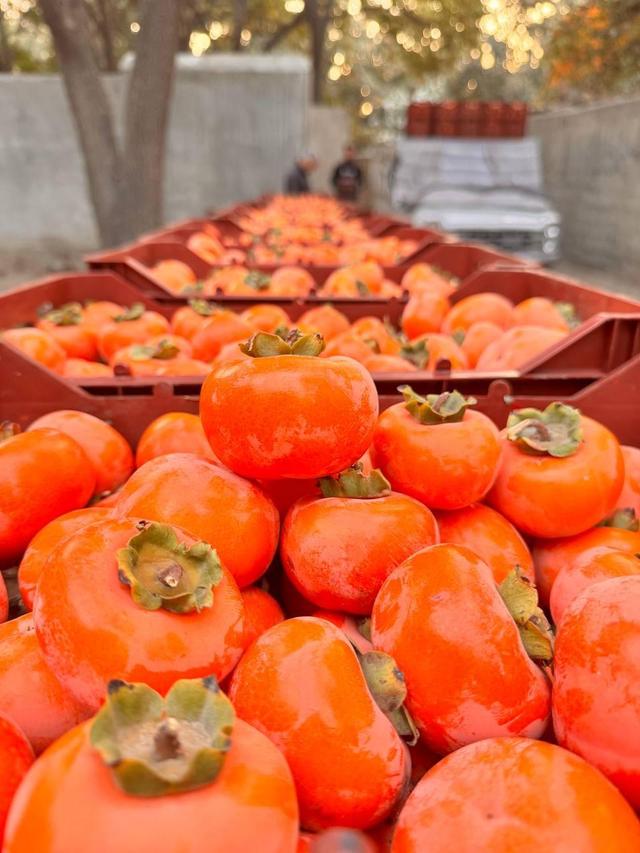 میراث ناملموس، سرمایه ماندگار فرهنگی پایتخت