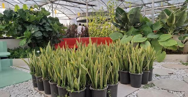 نخستین مجتمع گردشگری کشاورزی شهر قزوین به بهره‌برداری رسید