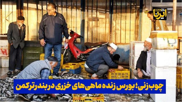 فیلم| چوب‌زنی؛ بورس زنده ماهی‌های خزری در بندرترکمن