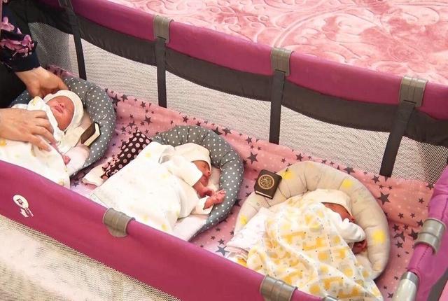 حمایت بهزیستی قزوین از ۴۹۳ خانواده چندقلو