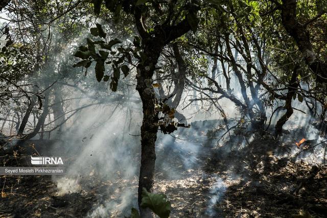 تنش دمایی و هشدار آتش‌سوزی در جنگل‌ و مراتع مازندران