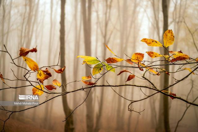 روزهای گرم و شب‌های خنک، پاییز فصلِ رنج مازندران