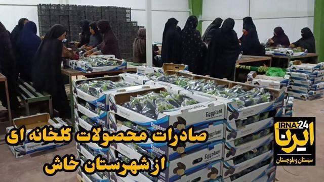 فیلم| خاش؛ پیشگام صادرات محصولات گلخانه‌ای جنوب شرق کشور