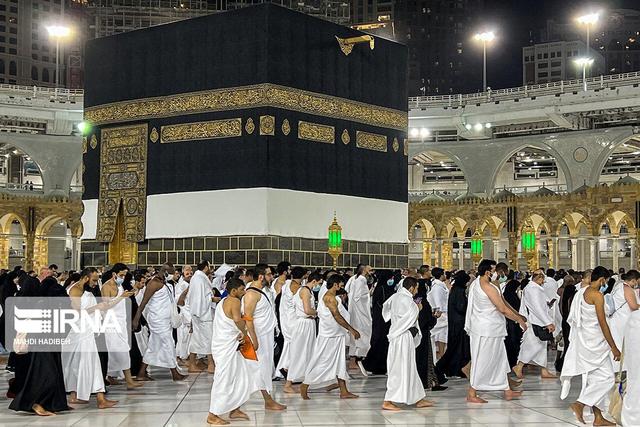 رئیس سازمان حج و زیارت: پیام پزشکیان به ولی‌عهد عربستان تحویل داده شد+ فیلم