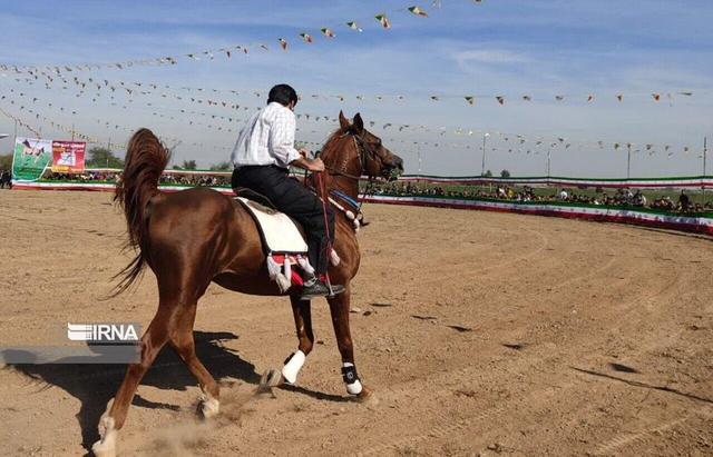 مسابقات زیبایی اسب اصیل عرب کشور در اشکذر یزد آغاز شد