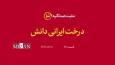 درخت ایرانی دانش؛ گزارشی از روایت رهبر انقلاب درباره پابرجا بودن و از بین رفتنی نبودن صنعت هسته‌ای ایران علی‌رغم ترور دانشمندان در جنگ اخیر