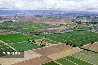 ۹۶۹ هکتار از اراضی بایر دولتی بجنورد تعیین تکلیف شد