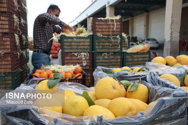 افزایش نظارت‌ها بر بازار میوه و تره‌بار زنجان 