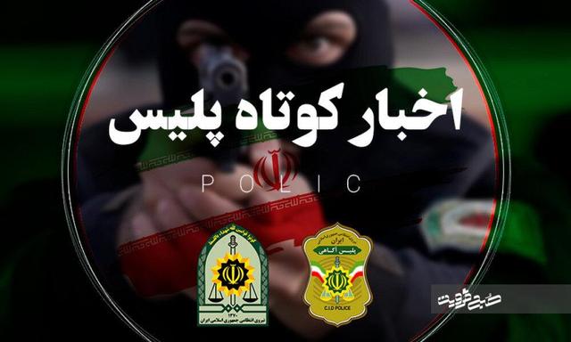 از بازداشت اراذل و اوباش مسلح تا نجات پرنده شکاری در نوشهر