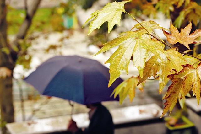 سامانه بارشی از این روز وارد کشور می شود + جزئیات